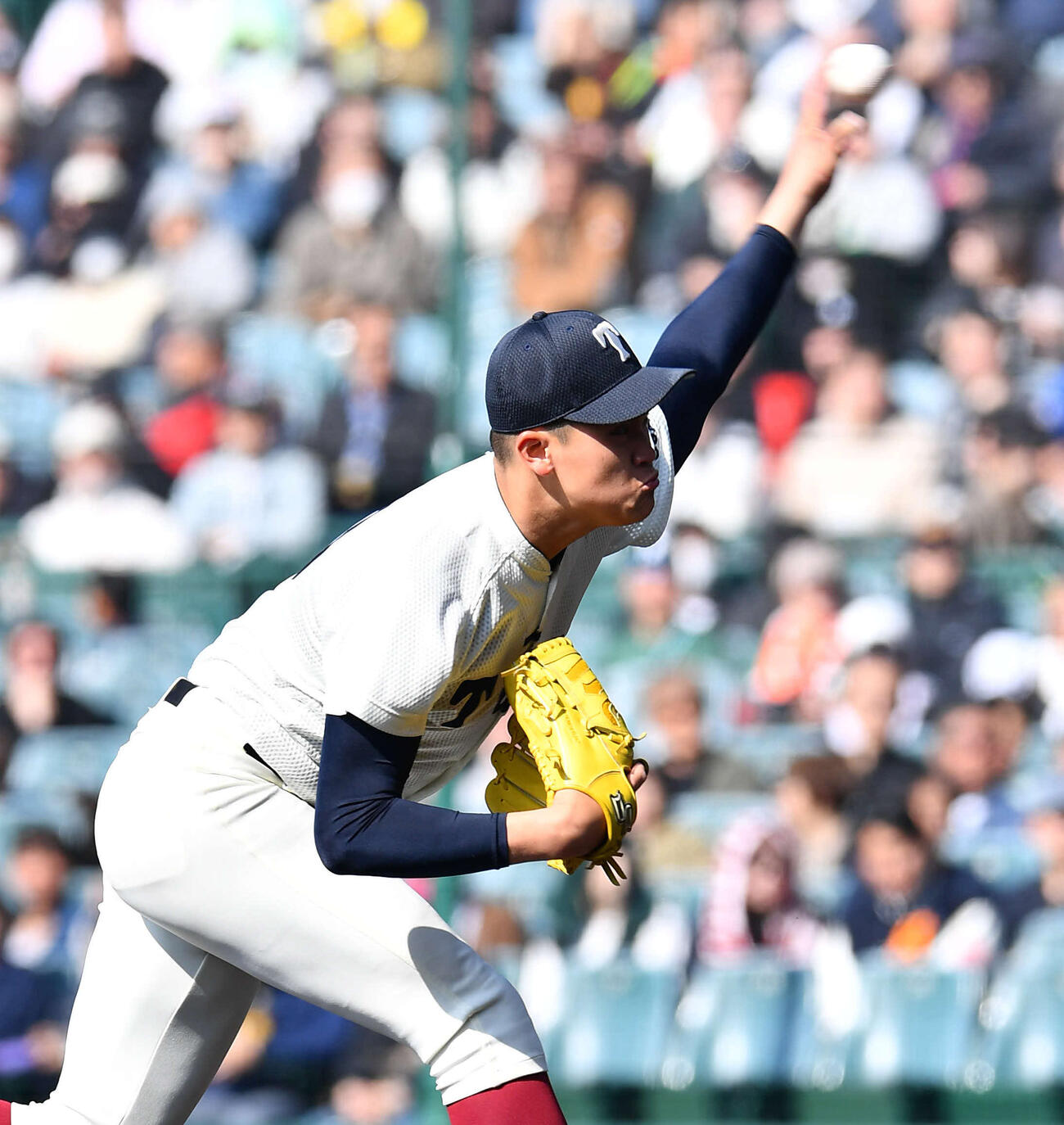 大阪桐蔭対熊本工　大阪桐蔭先発の川本（撮影・岩下翔太）