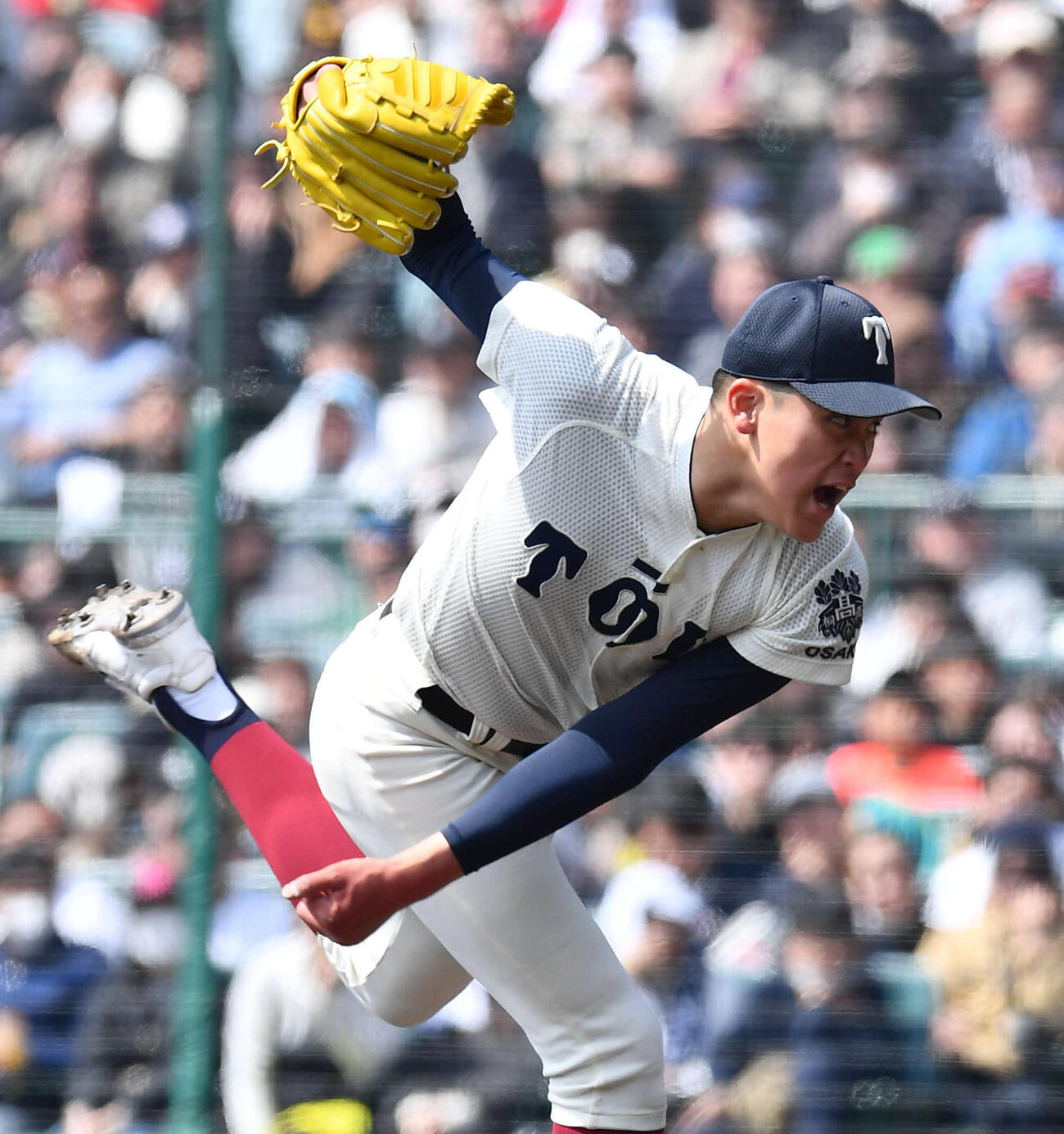 大阪桐蔭対熊本工　雄たけびをあげながら力投する大阪桐蔭先発の川本（撮影・岩下翔太）