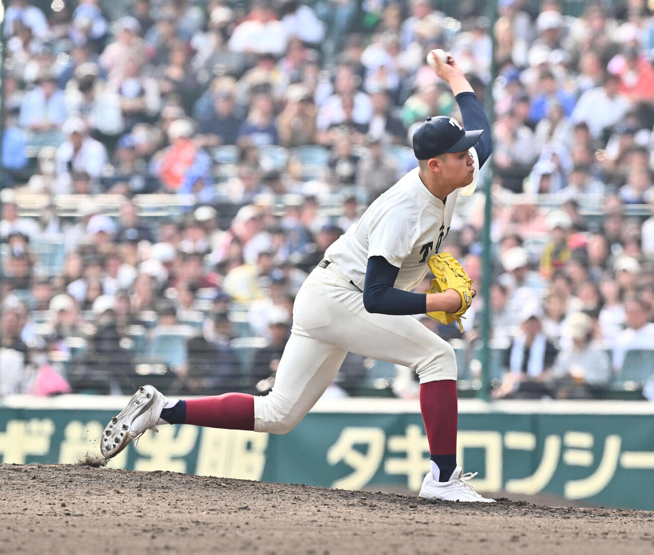 専大松戸対大阪桐蔭　大阪桐蔭2番手で登板する川本（撮影・滝沢徹郎）