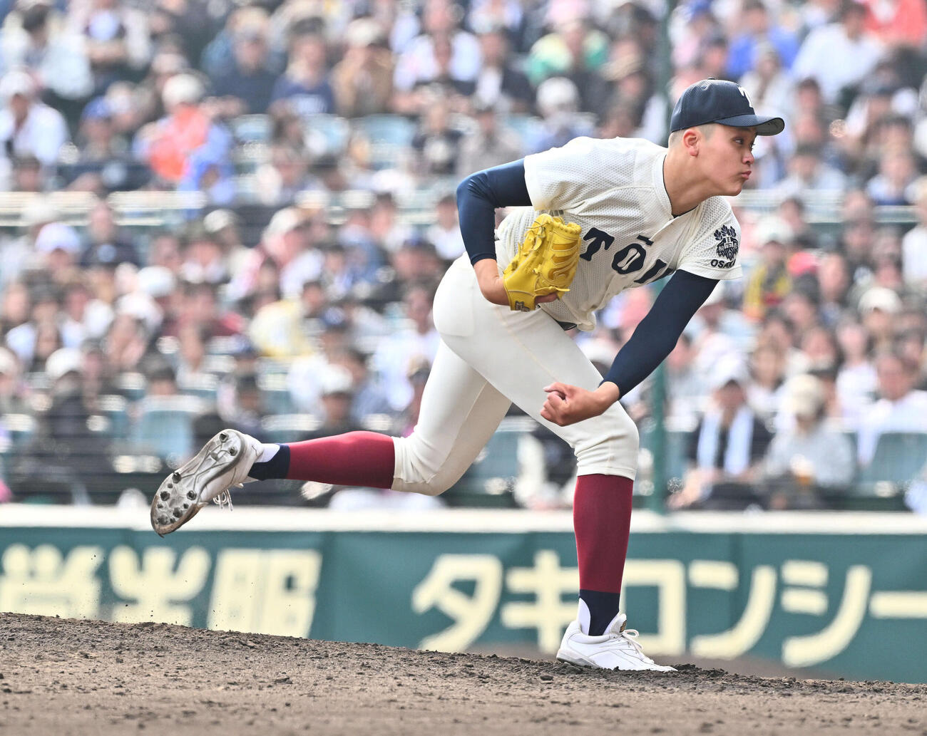 専大松戸対大阪桐蔭　大阪桐蔭2番手で登板する川本（撮影・滝沢徹郎）