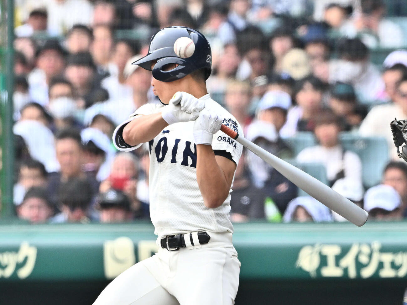 専大松戸対大阪桐蔭　3回裏大阪桐蔭2死、死球を受ける谷渕（撮影・滝沢徹郎）