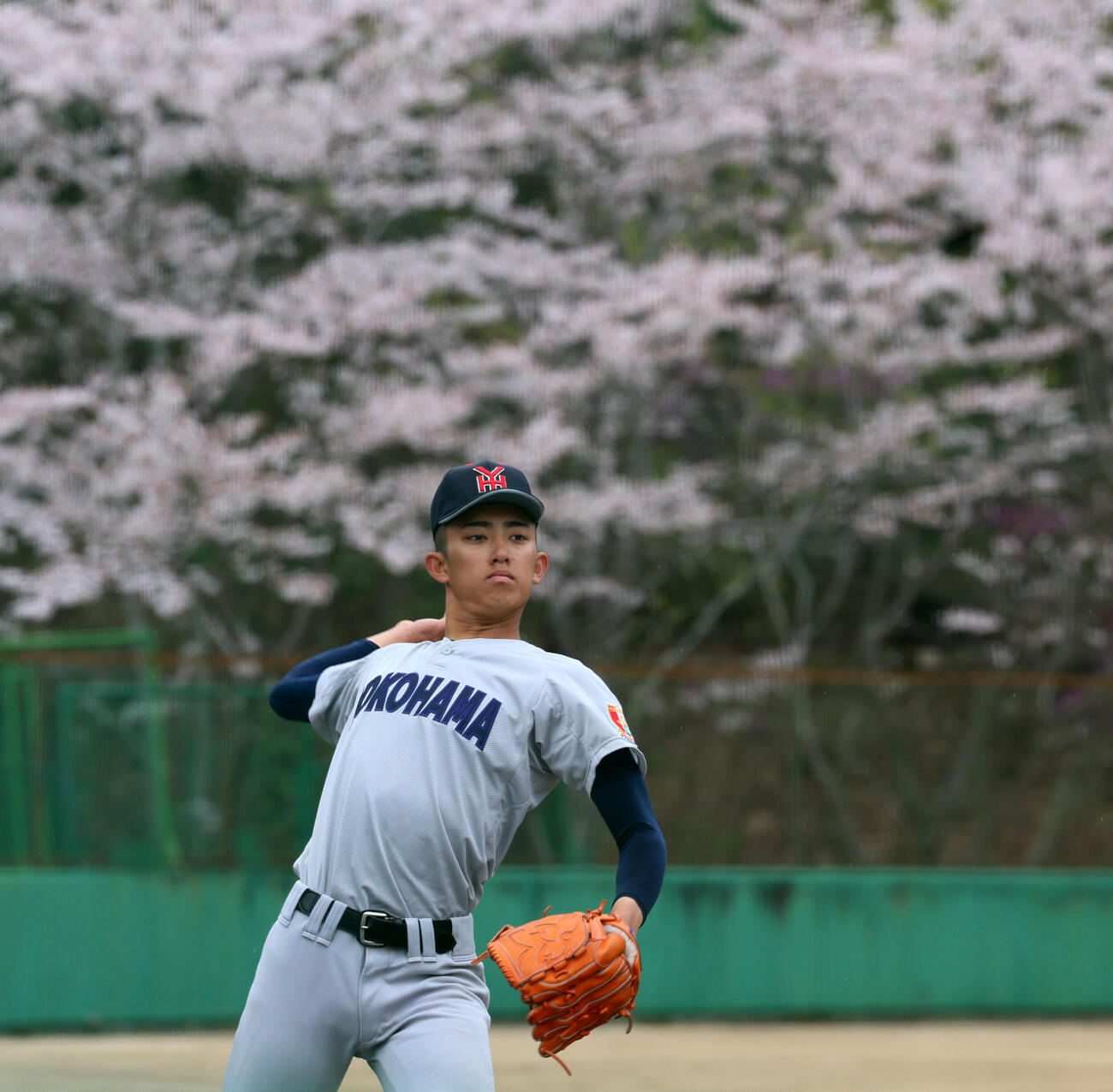 桜の木を背にキャッチボールする横浜・織田（撮影・加藤哉）