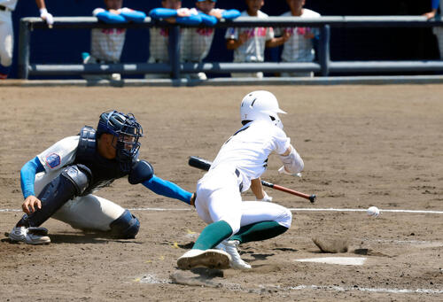 春季関東大会 専大松戸対花咲徳栄 4回裏専大松戸1死三塁、犠打を決め三塁走者を生還させた柴田樹(撮影・山本朝陽)