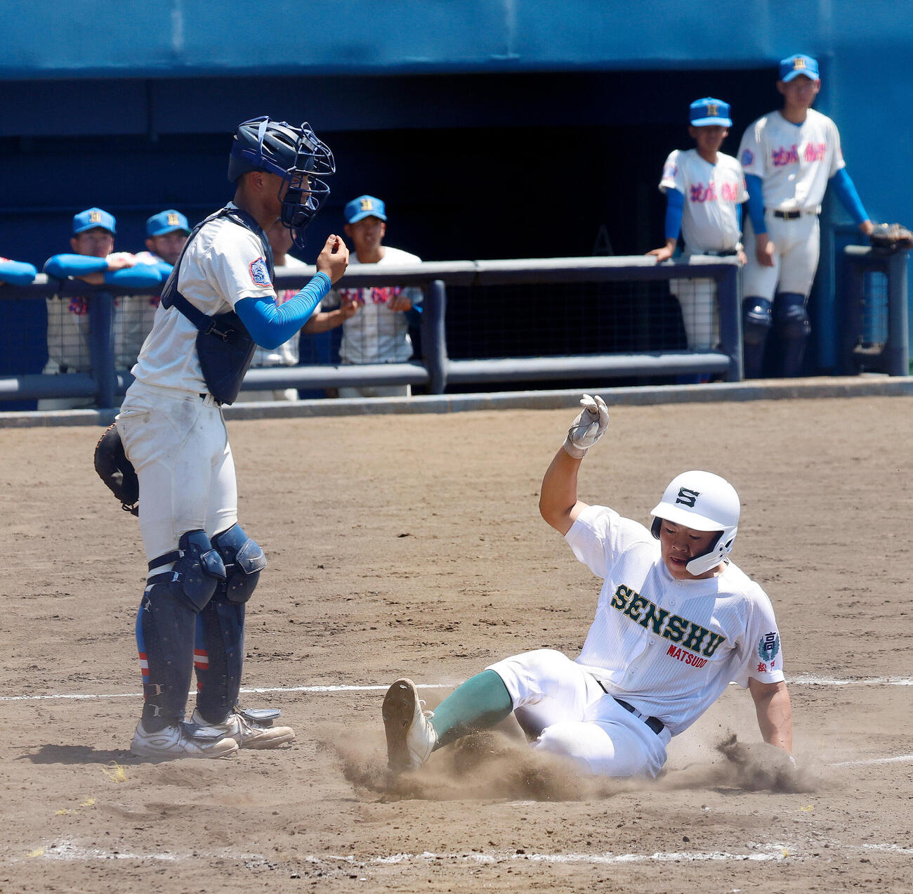 春季関東大会　専大松戸対花咲徳栄　4回裏専大松戸1死三塁、柴田樹のスクイズで生還した瀬谷鷹我（右）（撮影・山本朝陽）