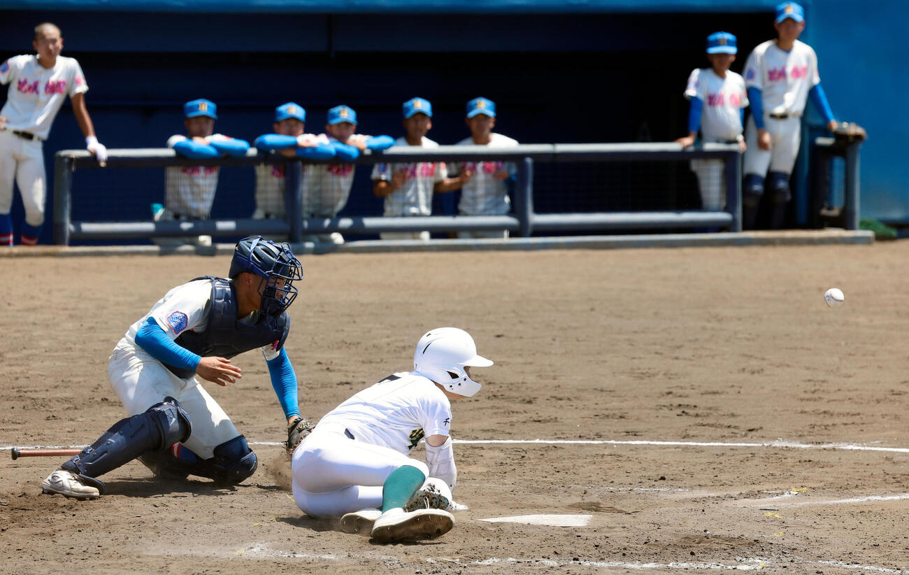 春季関東大会　専大松戸対花咲徳栄　4回裏専大松戸1死三塁、犠打を決め三塁走者を生還させた柴田樹（撮影・山本朝陽）