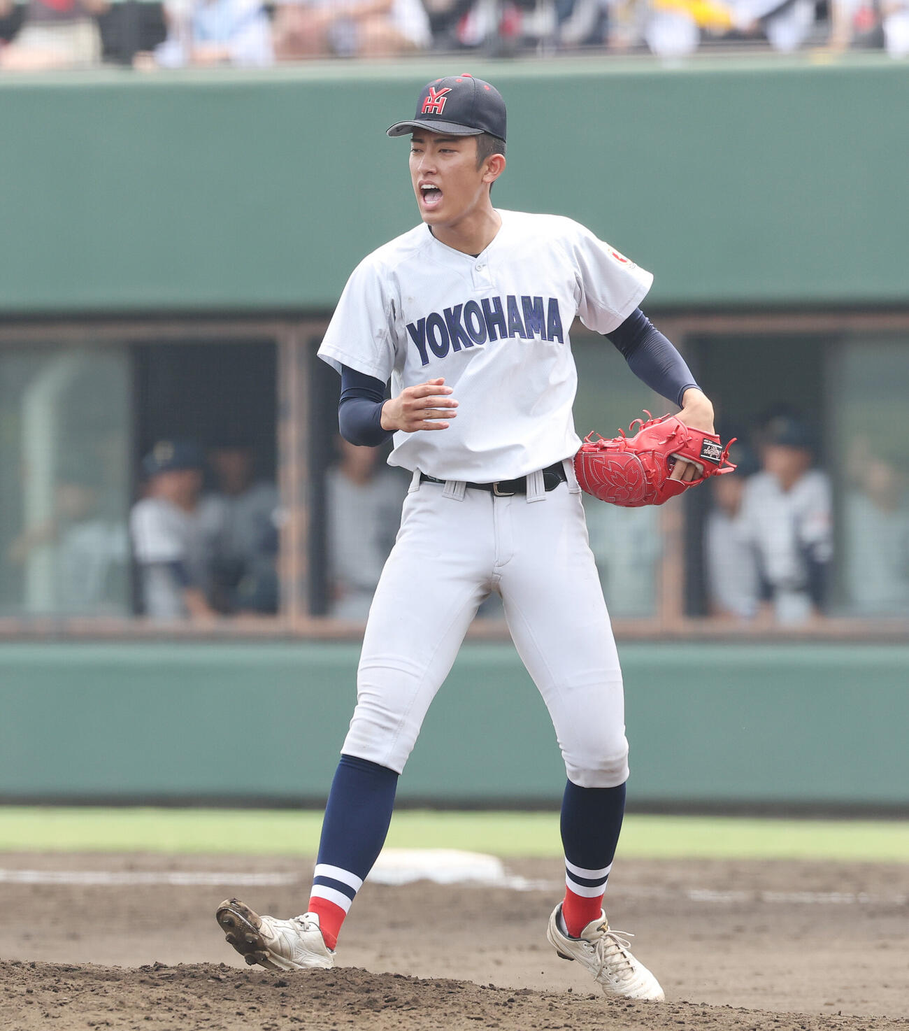 横浜対東海大相模　横浜2番手の織田翔希（撮影・宮地輝）