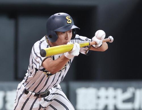 帯広三条対白樺学園 2回裏白樺学園無死一、三塁、セーフティースクイズを決める細口生翔(撮影・黒川智章)