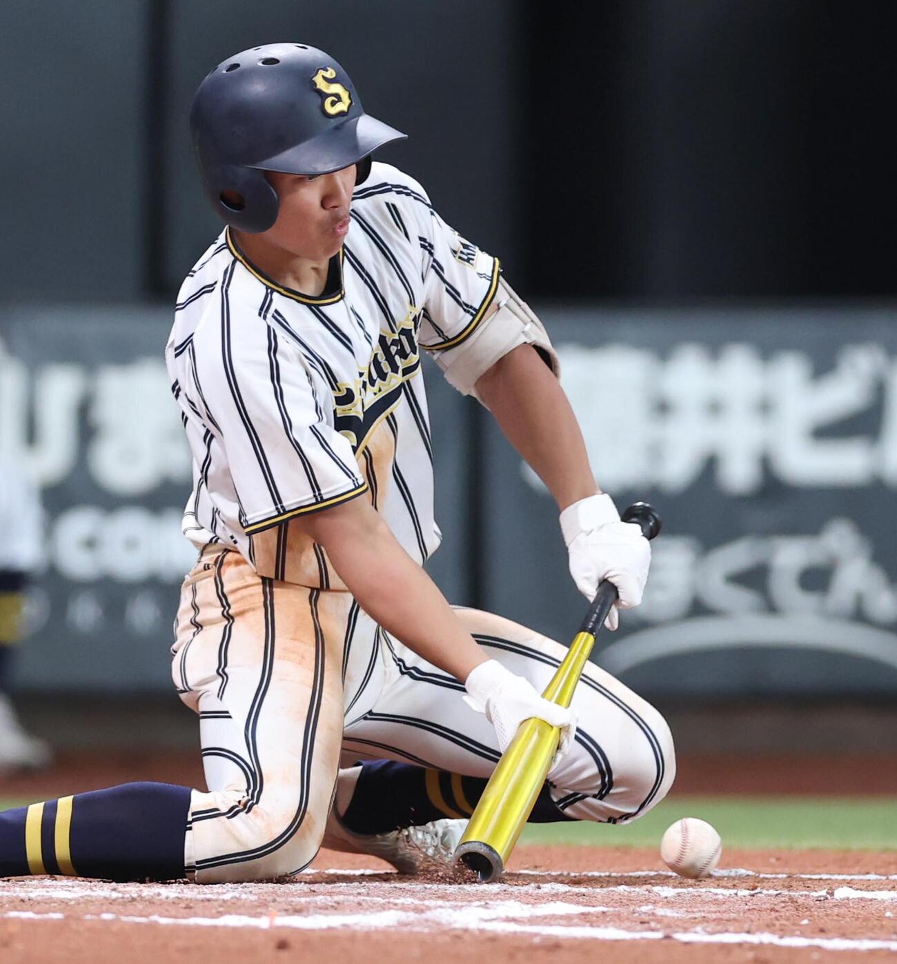 帯広三条対白樺学園　6回裏白樺学園無死二、三塁、スクイズを決め自身もセーフとなる関口颯人（撮影・黒川智章）