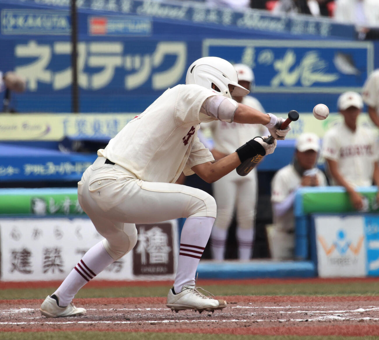 拓大紅陵対習志野　5回表拓大紅陵無死一、三塁、山辺颯のスクイズを決める（撮影・柴田隆二）