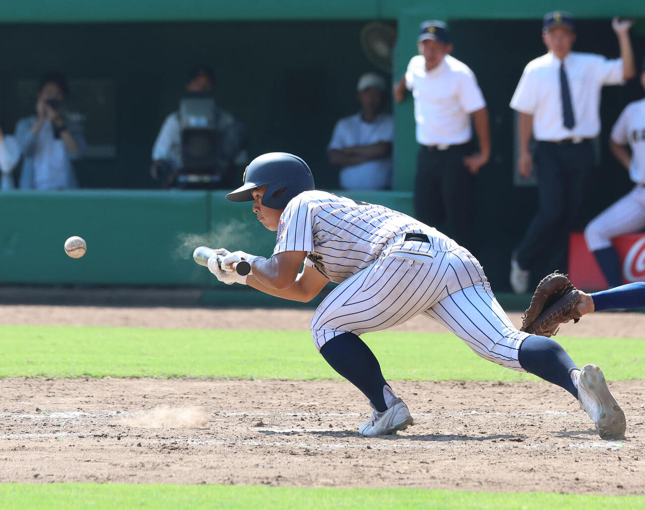 明石商対神戸国際大付　10回表明石商無死一、二塁、岸川孔史は犠打を決める（撮影・白石智彦）