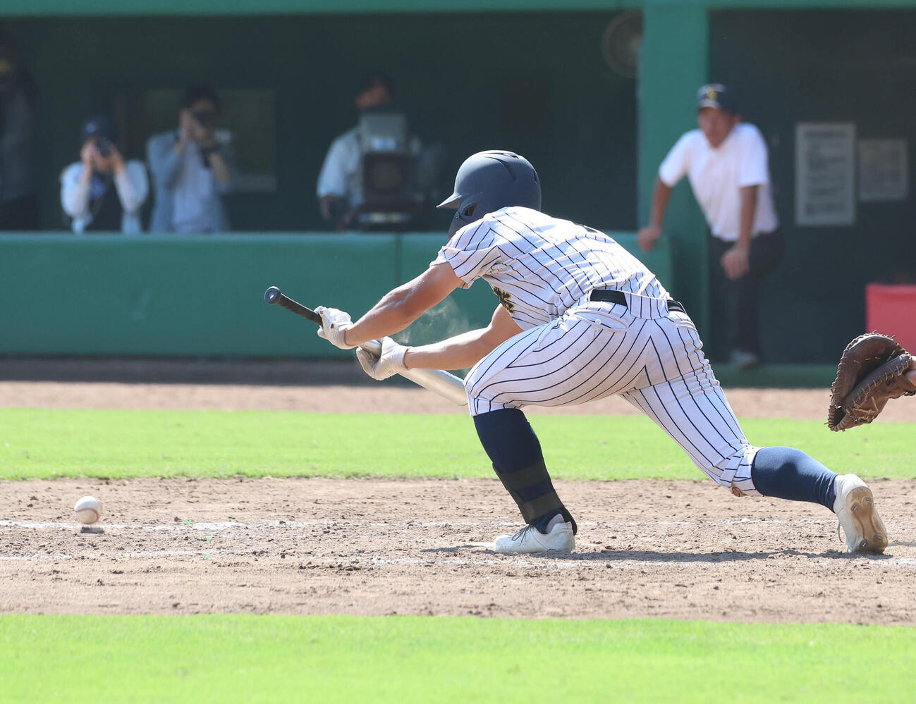 明石商対神戸国際大付　10回表明石商無死一、三塁、スクイズを決める市村徹平（撮影・白石智彦）