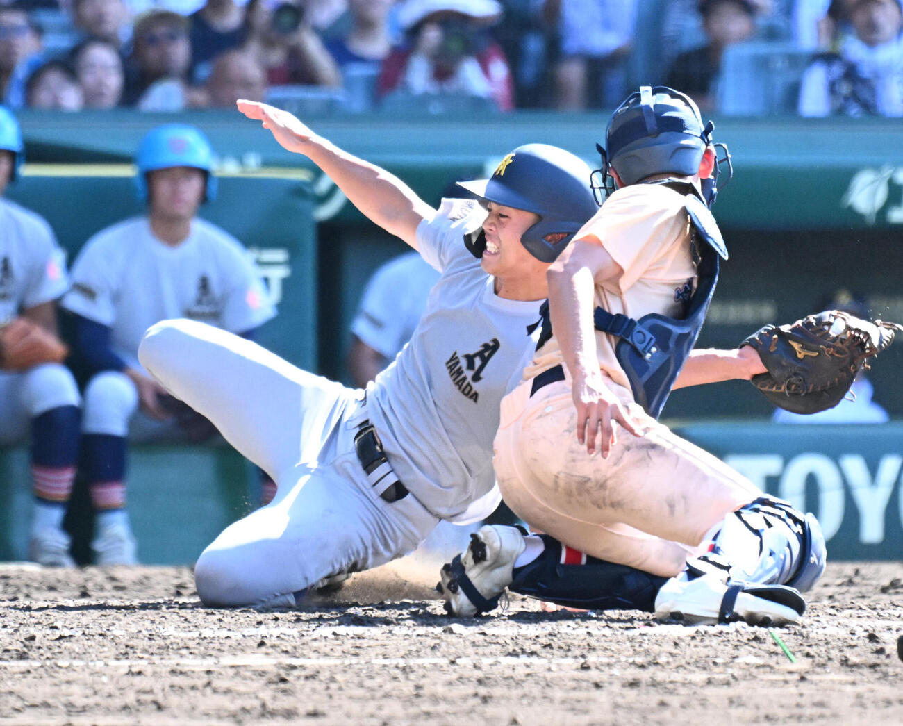 遊学館対青森山田　3回裏青森山田2死一、三塁、木村寿来の適時打で生還する向井那々瀬（左）（撮影・石井愛子）