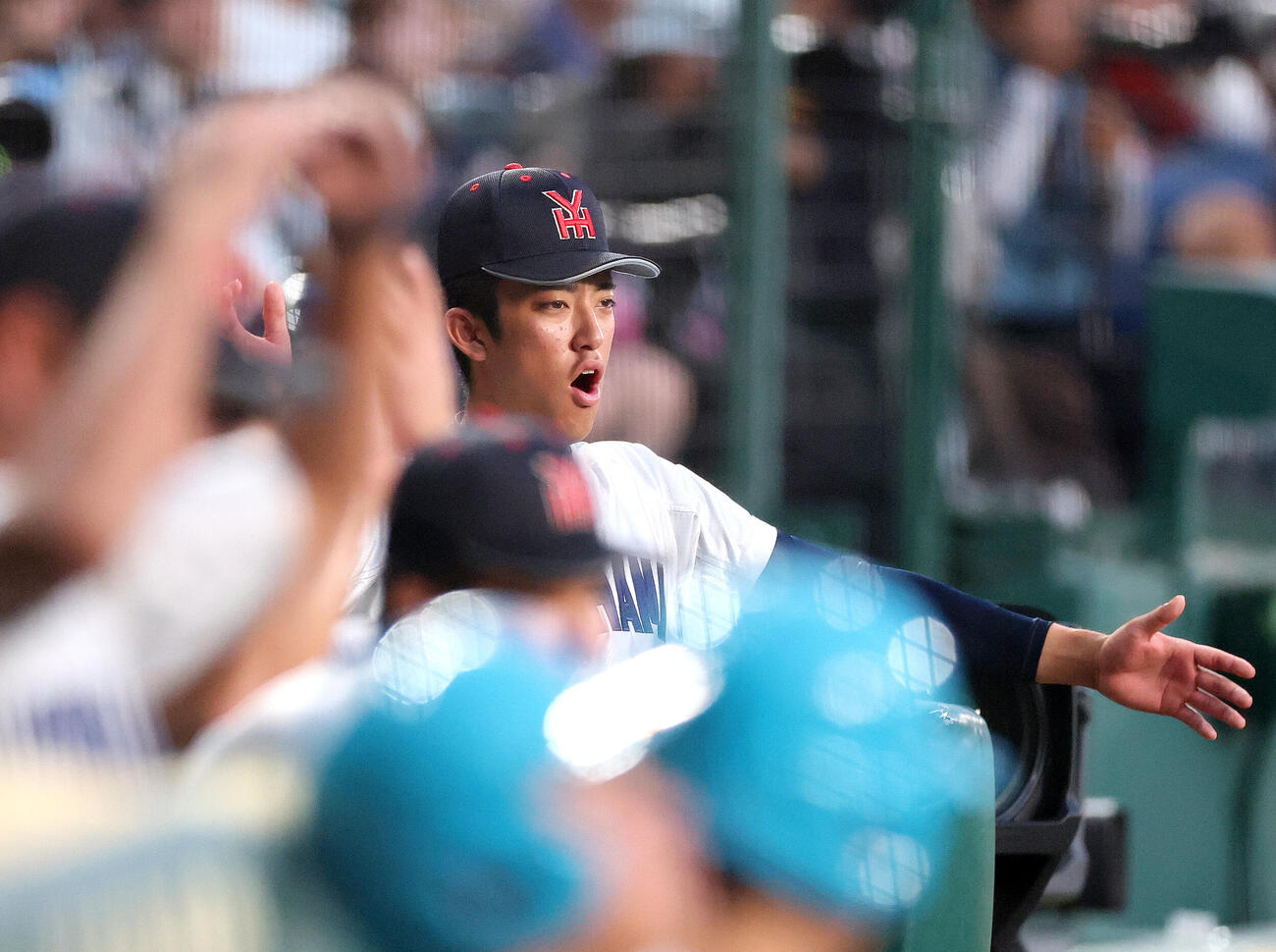 横浜対日南学園　2回表、ベンチから声援を送る横浜・織田翔希（撮影・河田真司）