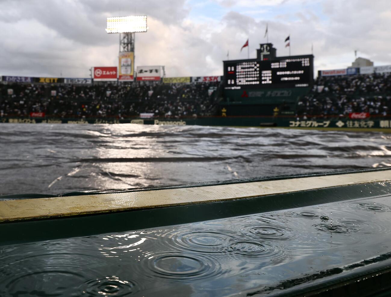 仙台育英対拓大紅陵　4回表、急な雨が降り始め一時試合中断となる（撮影・河田真司）