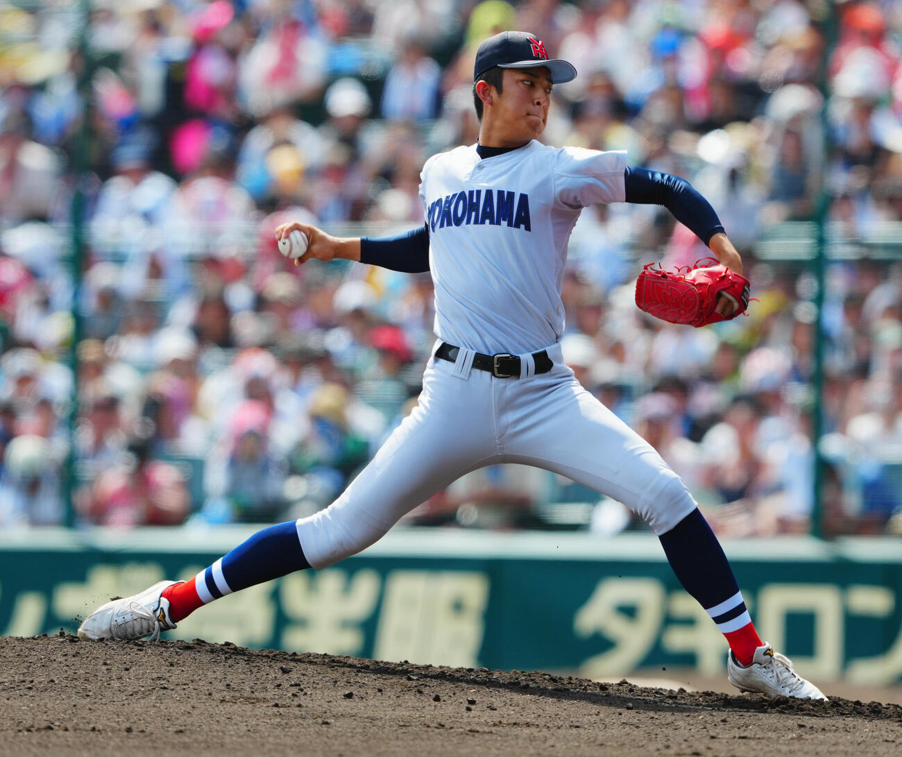 横浜対花巻東　力投する横浜先発織田翔希（撮影・垰建太）