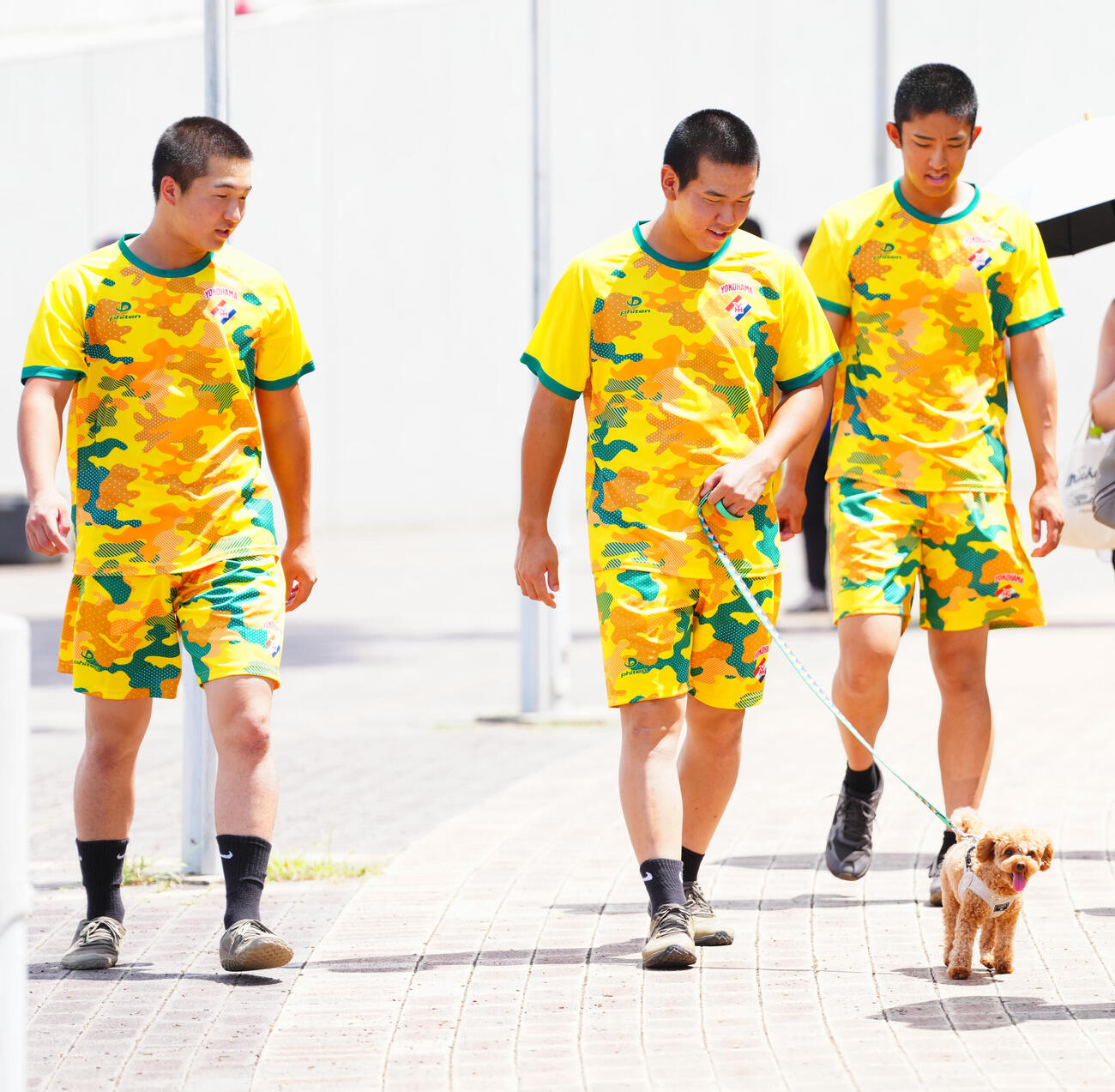 練習を終え犬の面倒を見ながら引き揚げる横浜・小野舜友（中央）、池田聖摩（左）、織田翔希（撮影・垰建太）