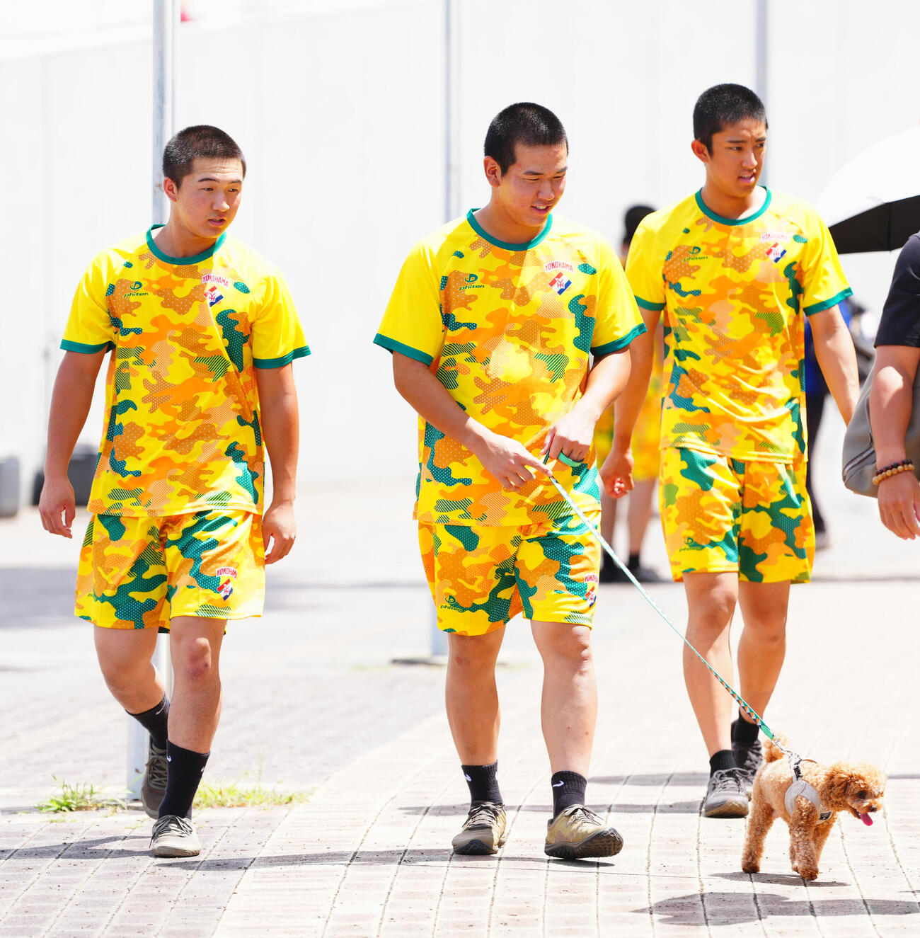 練習を終え犬の面倒を見ながら引き揚げる横浜・小野舜友（中央）、池田聖摩（左）、織田翔希（撮影・垰建太）