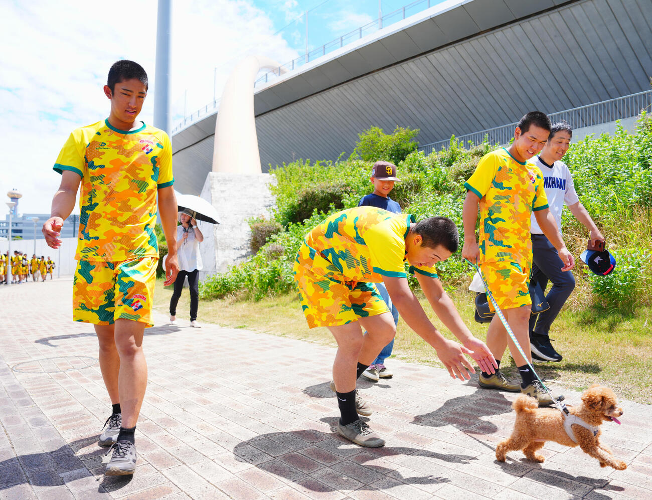 練習を終え犬と戯れながら引き揚げる横浜・小野舜友（右から2人目）、池田聖摩（中央）、織田翔希（撮影・垰建太）