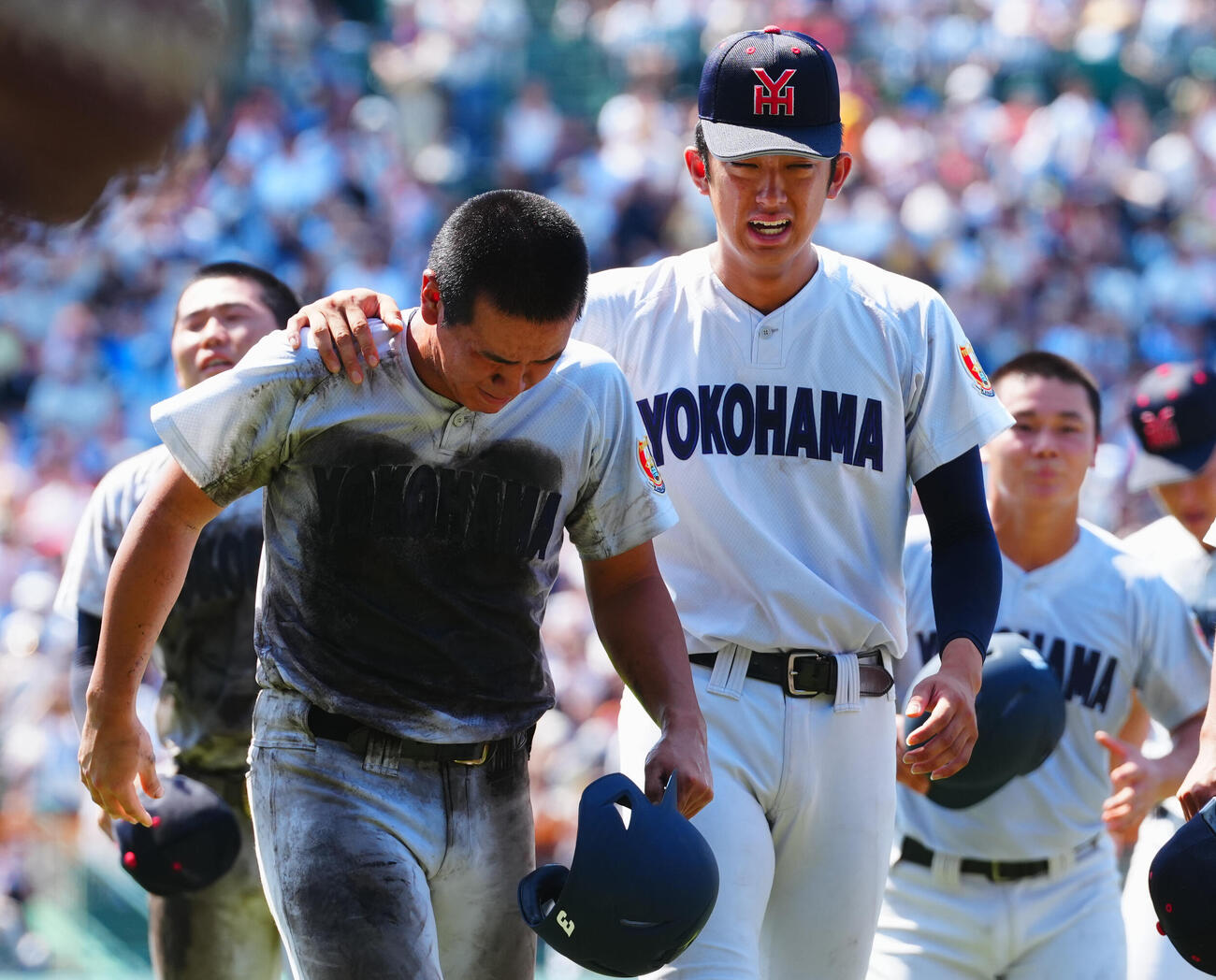 横浜対智弁和歌山　試合に敗れ号泣する横浜・小野舜友（左）の肩に手を回し涙ながらにねぎらう織田翔希（撮影・垰建太）