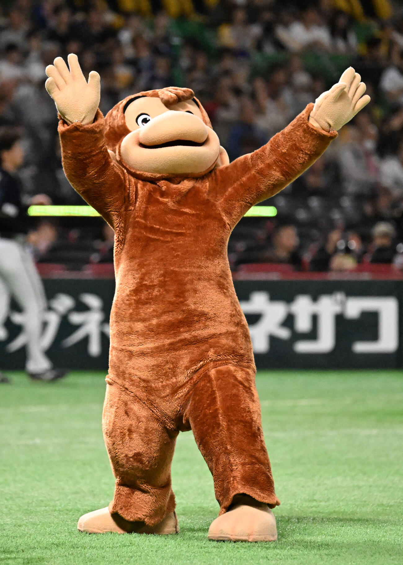 ソフトバンク対オリックス　セレモニアルピッチを務めたおさるのジョージ（撮影・林敢治）