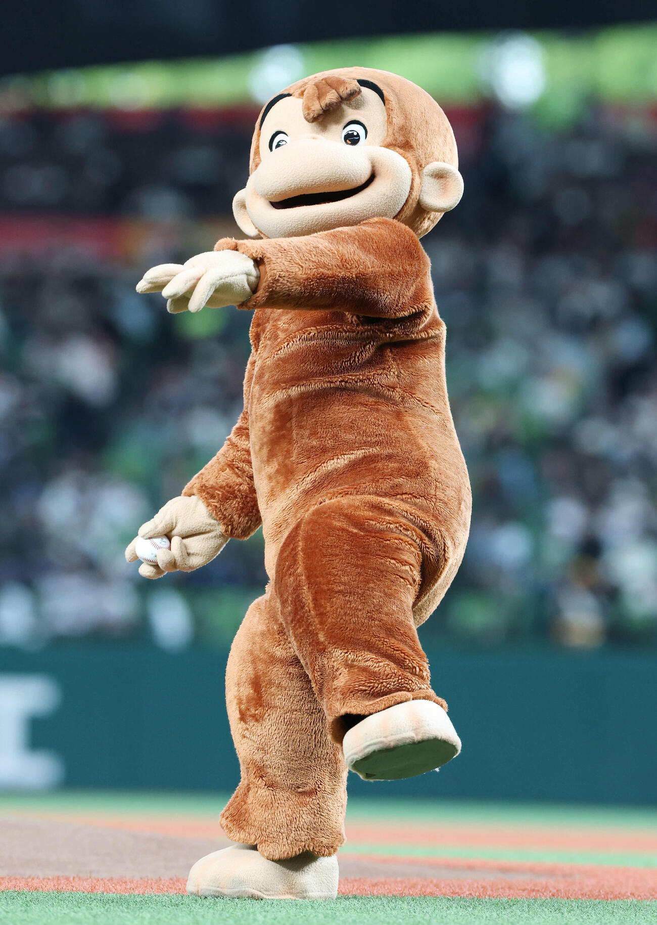 西武対ソフトバンク　セレモニアルピッチで投球するおさるのジョージ（撮影・宮地輝）