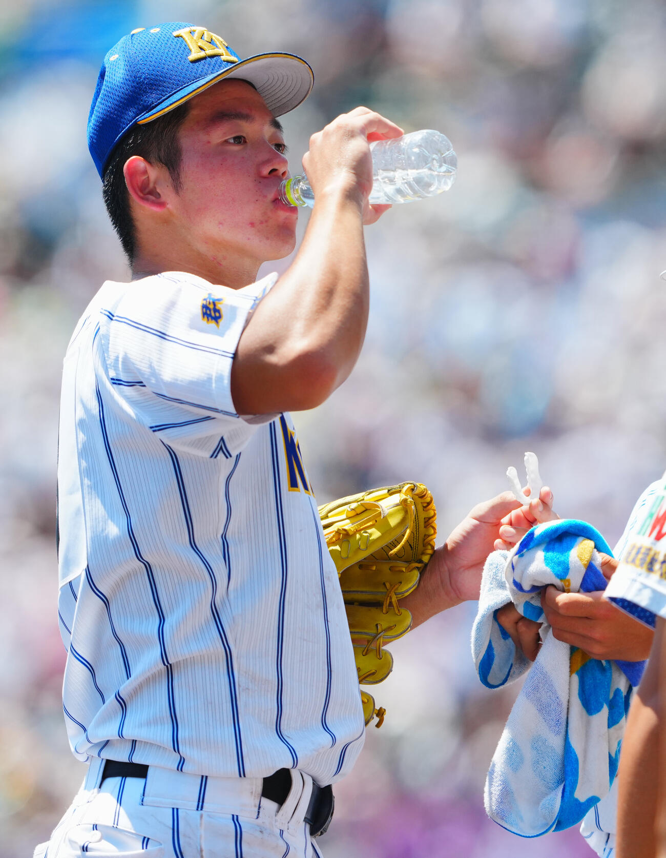 天理対健大高崎　7回裏の攻撃を終え残塁した健大高崎・佐藤麻恩は水分補給し投手へ向かう準備をする（撮影・垰建太）