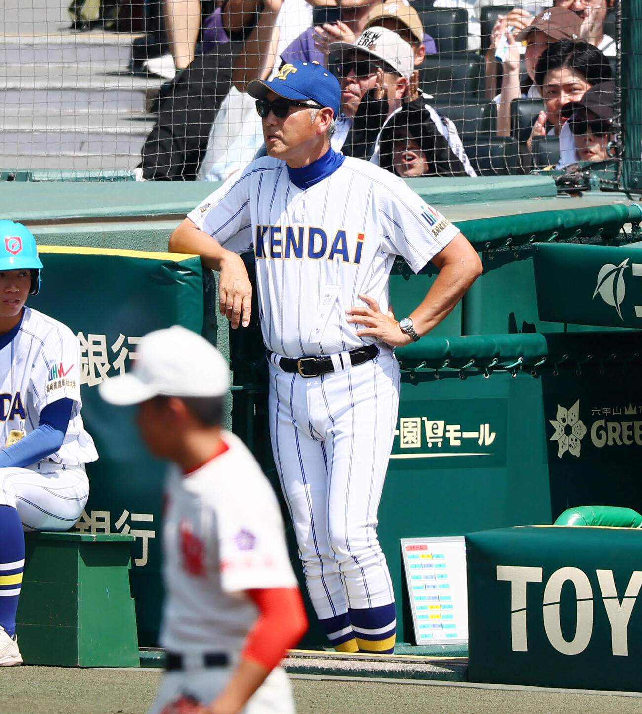 健大高崎対智弁和歌山　5回表、ベンチから試合展開を見る健大高崎の青柳博文監督（撮影・加藤哉）