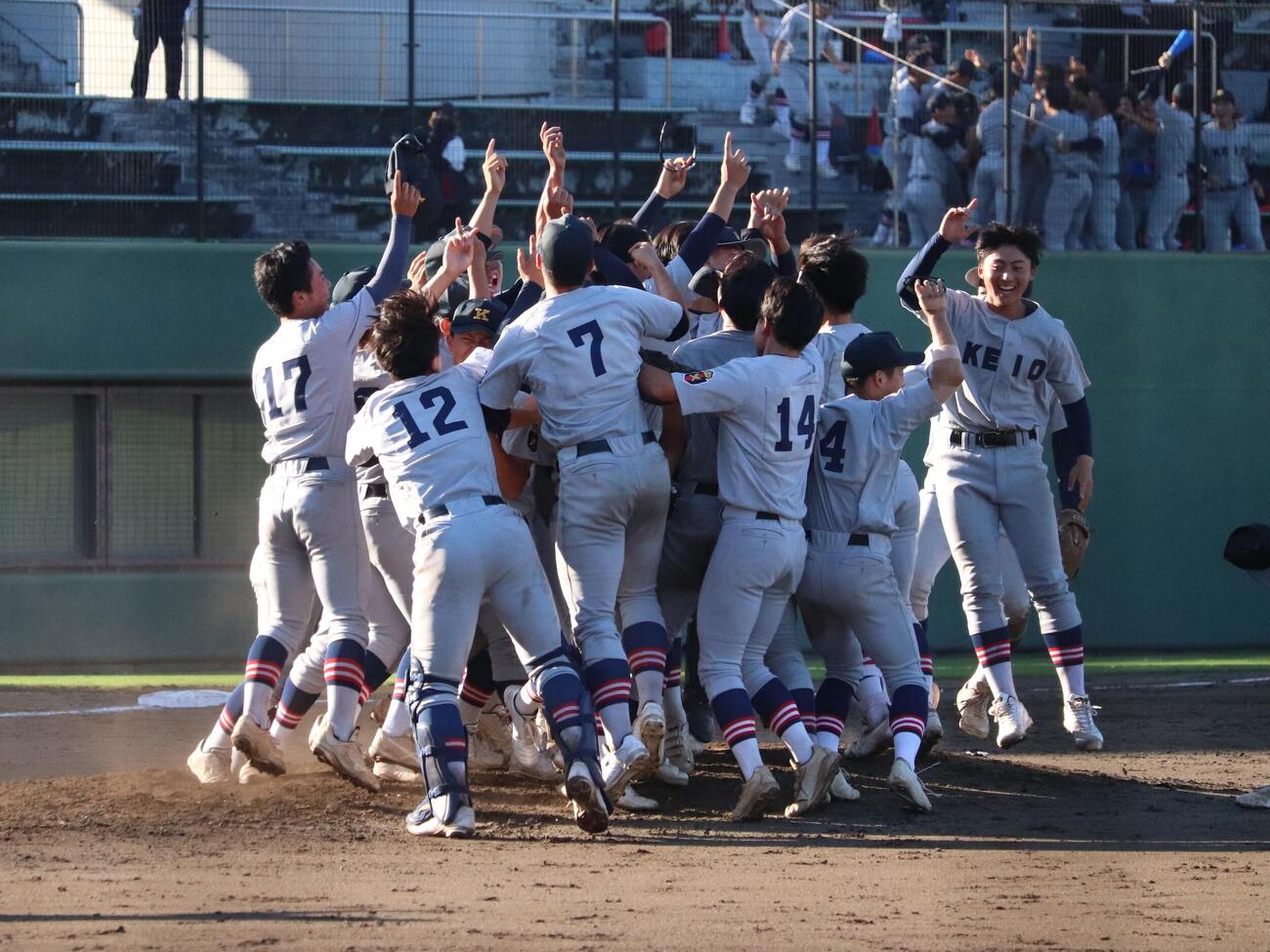 横浜を破り優勝し歓喜する慶応の選手たち（撮影・保坂淑子）
