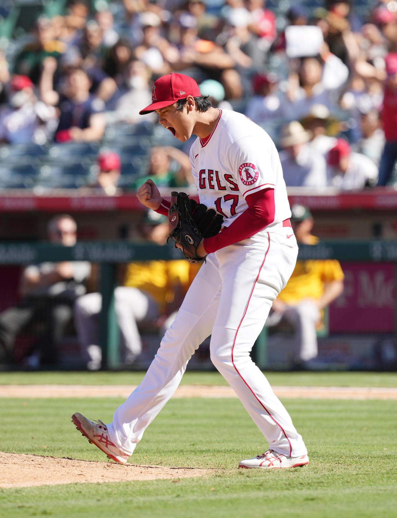 19日のアスレチックス戦の8回2死満塁、チャプマンを三振に仕留め、迫力満点のガッツポーズを見せるエンゼルス大谷（撮影・菅敏）