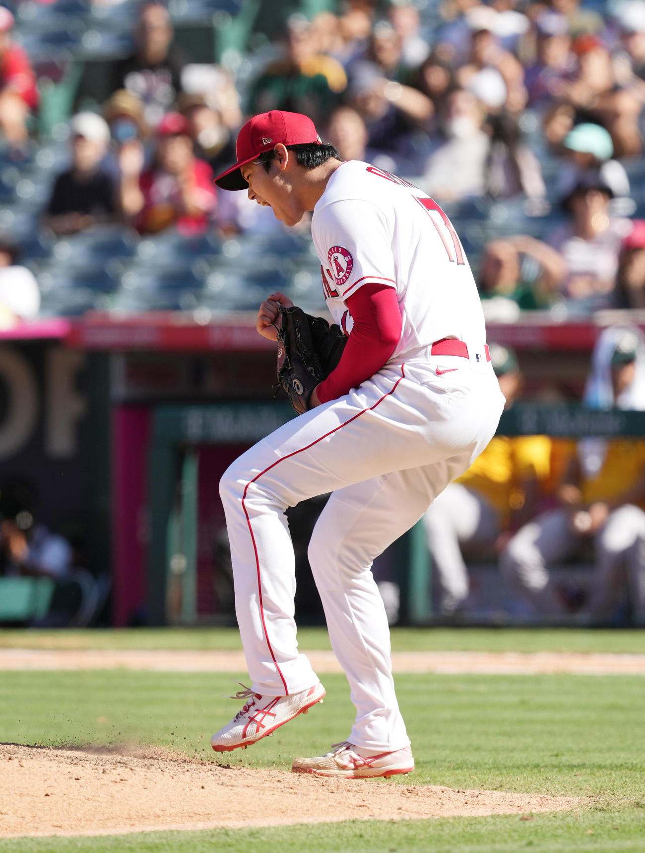 19日のアスレチックス戦の8回2死満塁、チャプマンを三振に仕留め、迫力満点のガッツポーズを見せるエンゼルス大谷（撮影・菅敏）