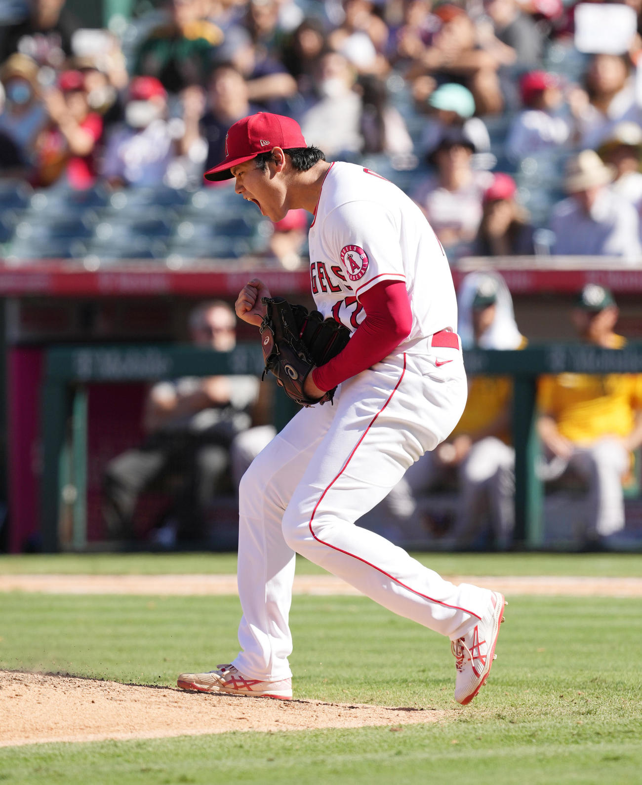 19日のアスレチックス戦の8回2死満塁、チャプマンを三振に仕留め、迫力満点のガッツポーズを見せるエンゼルス大谷（撮影・菅敏）