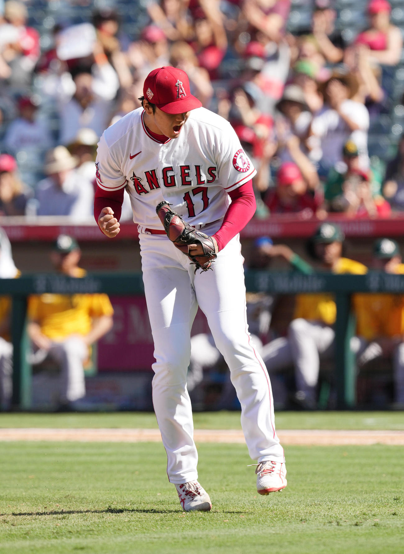 19日のアスレチックス戦の8回2死満塁、チャプマンを三振に仕留め、迫力満点のガッツポーズを見せるエンゼルス大谷（撮影・菅敏）