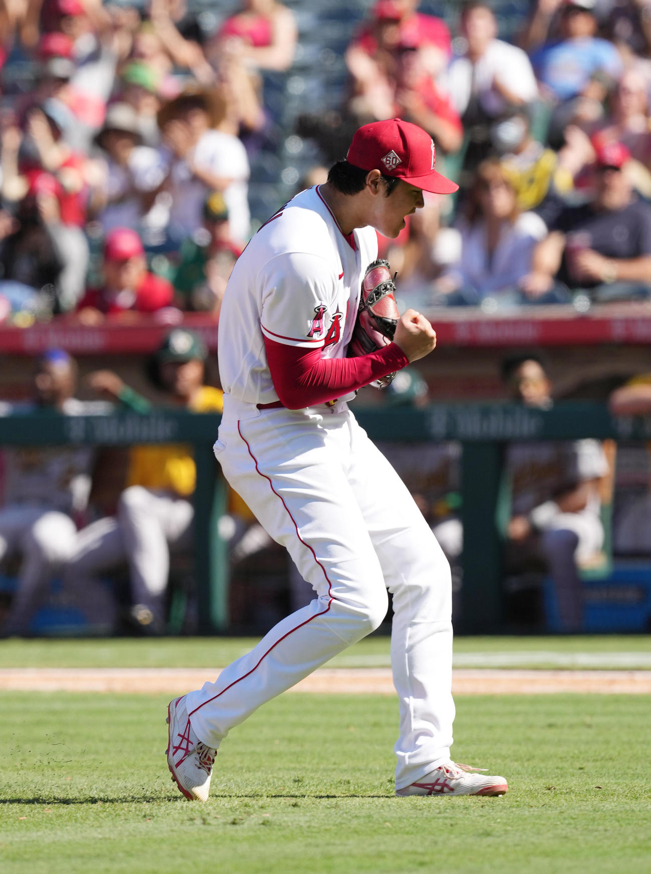 19日のアスレチックス戦の8回2死満塁、チャプマンを三振に仕留め、迫力満点のガッツポーズを見せるエンゼルス大谷（撮影・菅敏）