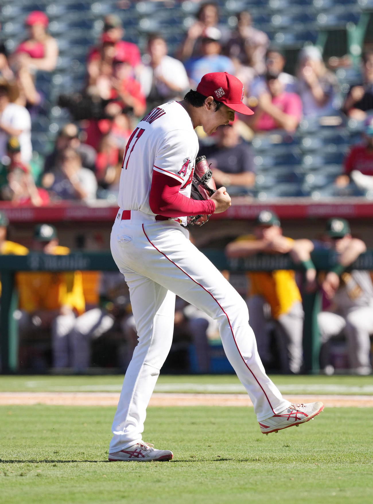 19日のアスレチックス戦の8回2死満塁、チャプマンを三振に仕留め、迫力満点のガッツポーズを見せるエンゼルス大谷（撮影・菅敏）