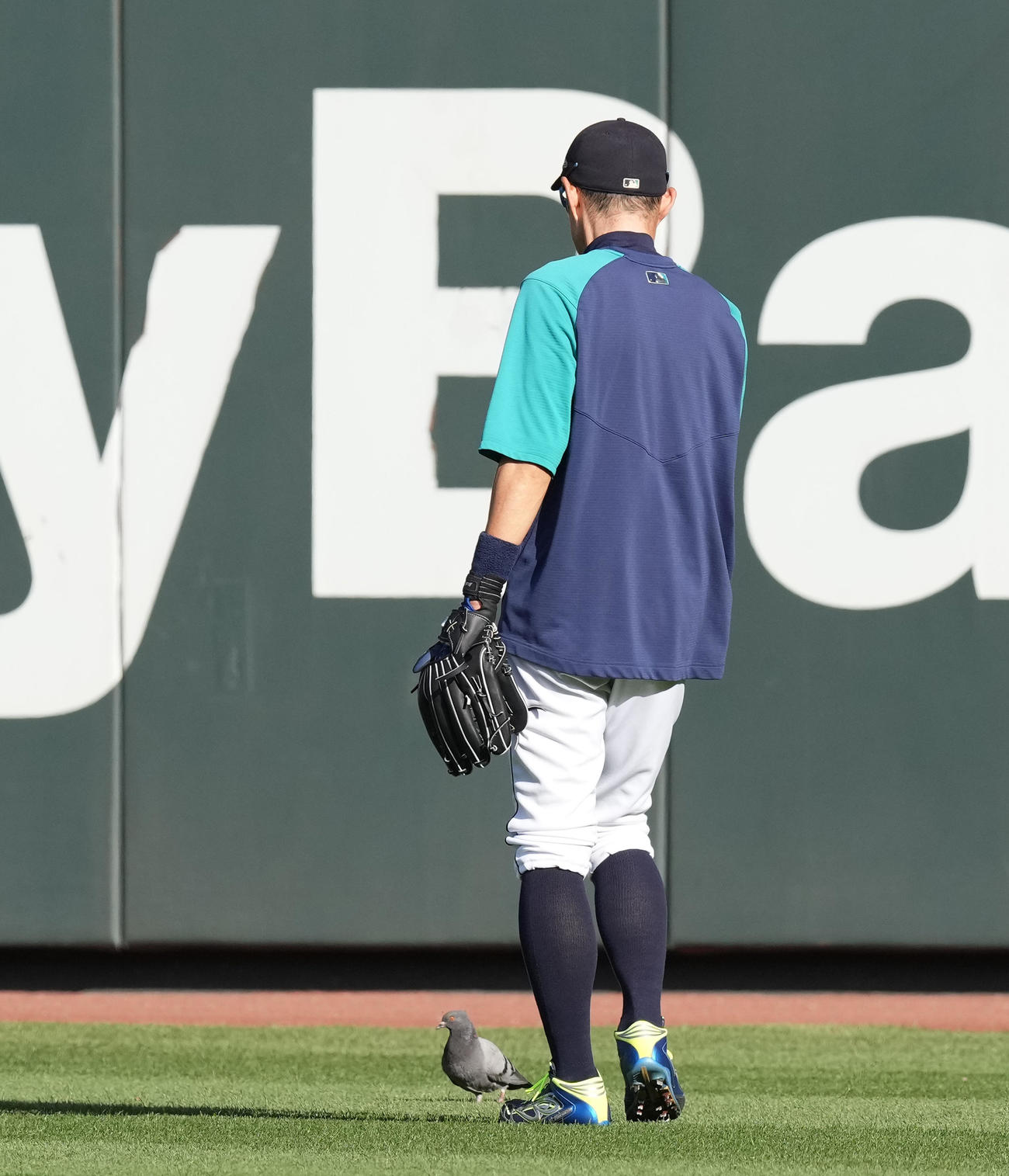 ケガ イチローさんも心配そう 全く動じないエリア51の 常連さん カンビンの観たい撮りたい伝えたい ｍｌｂコラム写真ニュース 日刊スポーツ