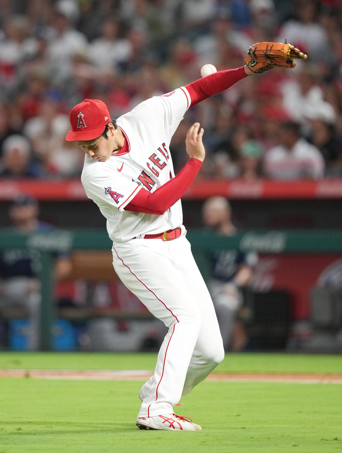 別の角度からです。マリナーズ戦の6回、球審から交換球が突然投げられ、慌てて避けるエンゼルス大谷（撮影・菅敏）