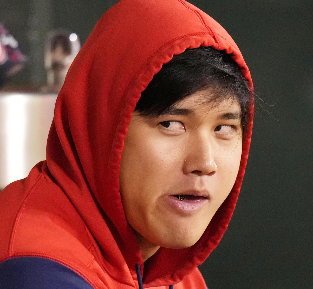 10月3日のアスレチックス戦、ベンチでひまわりの種をほお張る大谷。奥歯で殻をカリッと割る（撮影・菅敏）