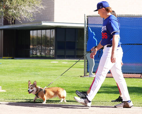 2月15日、キャンプ地内を愛犬と散歩するランドン・ナック投手（撮影・菅敏）
