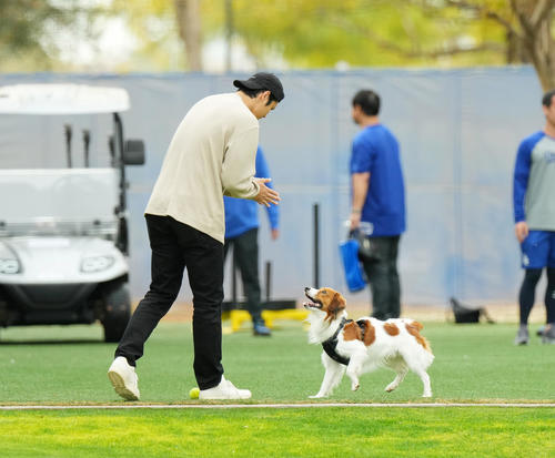 デコピンに「お座り」と指示を出す大谷（撮影・菅敏）
