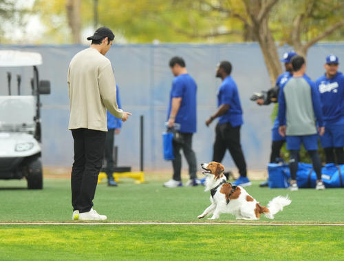 デコピンに「お座り」と指示を出す大谷（撮影・菅敏）