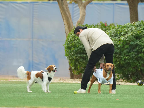 2025年2月、大谷（中央）になでられる山本の愛犬・カルロス君。左はうらやましそうに見つめるデコピン君（撮影・菅敏）