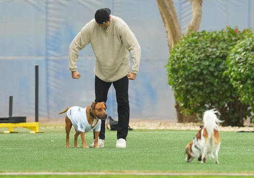 2025年2月、山本の愛犬・カルロス君（左）のモノマネをする大谷。手前はデコピン君（撮影・菅敏）