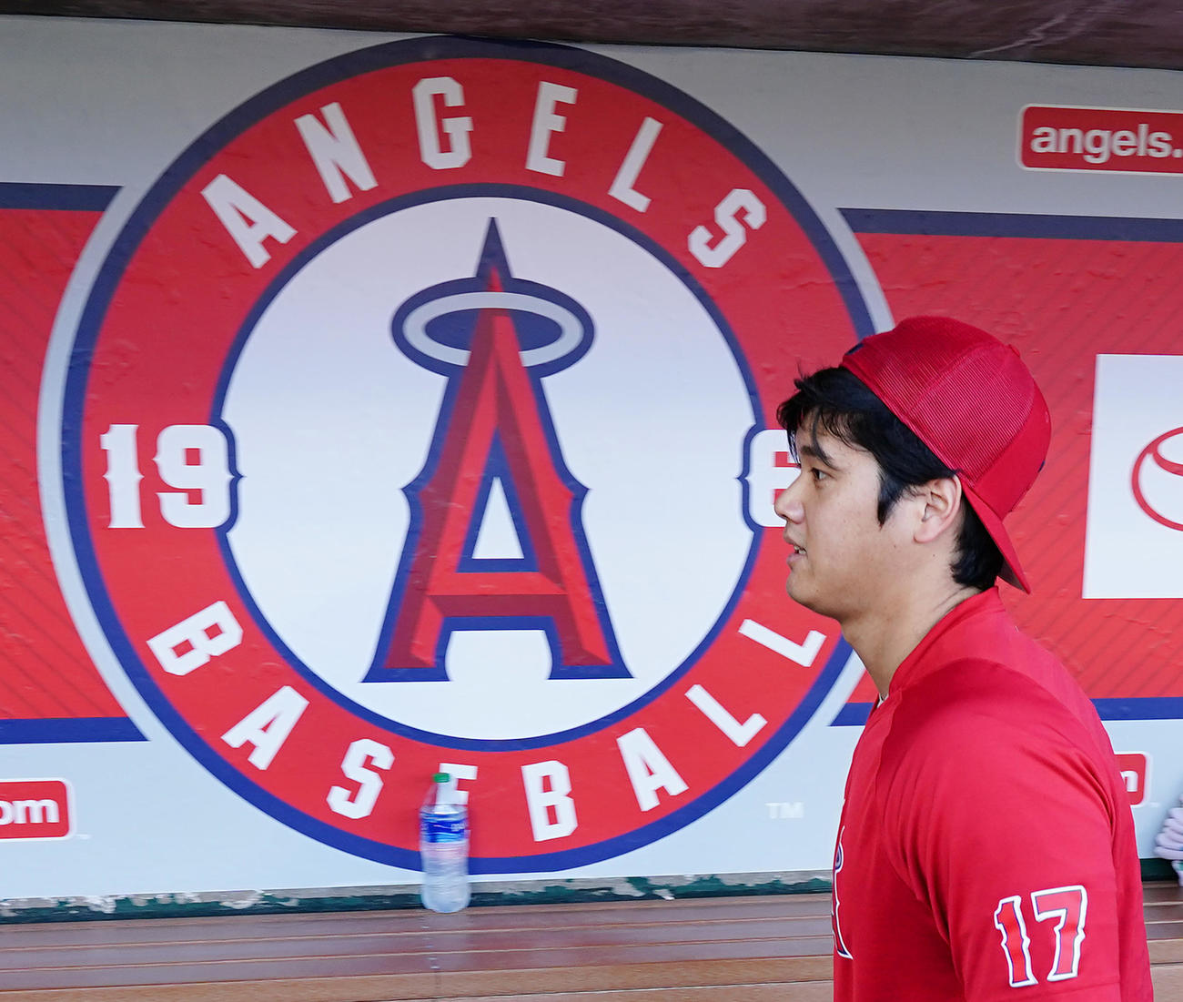 エンゼルス大谷翔平（22年8月撮影）