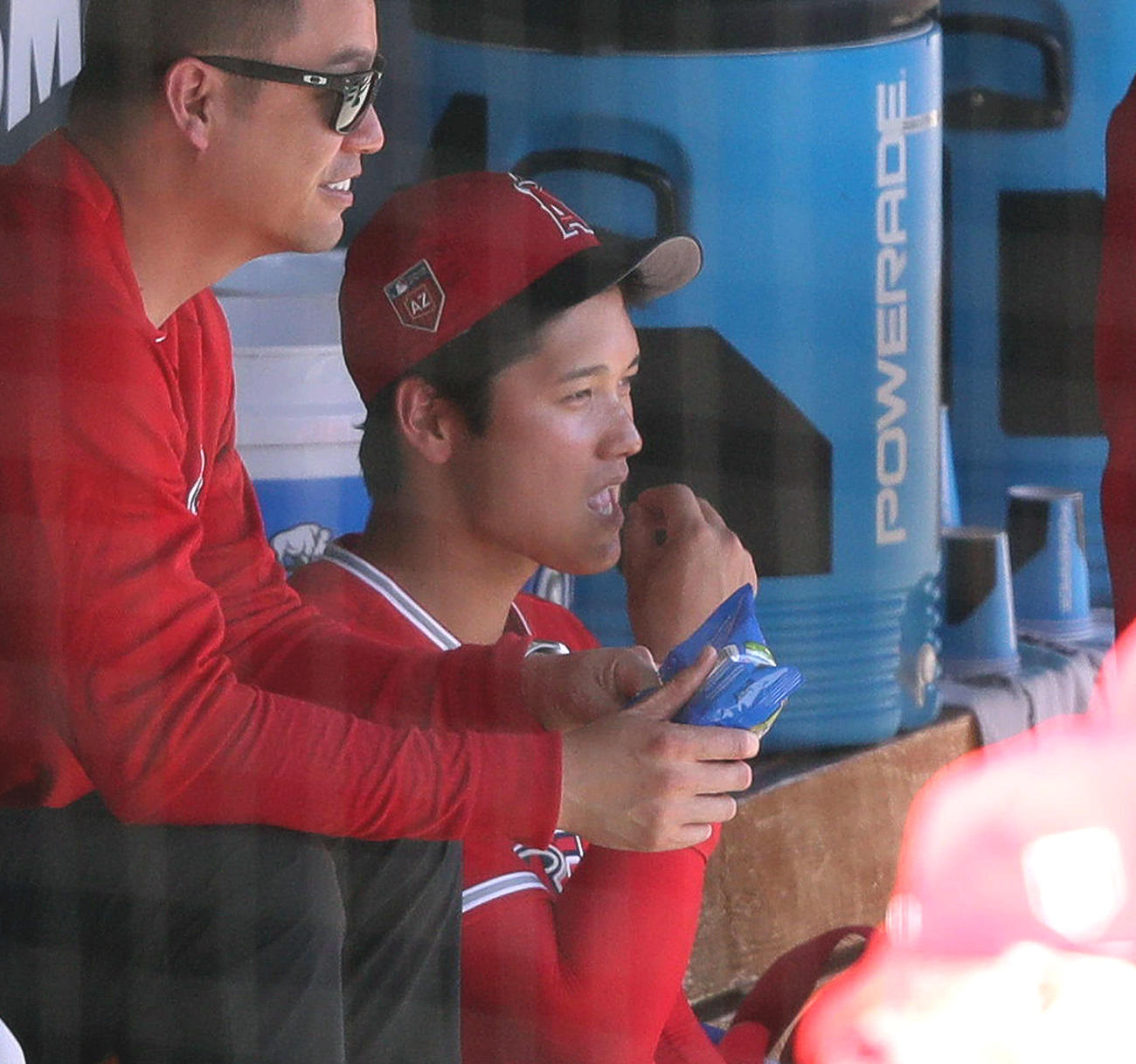 試合中、ひまわりの種に挑戦するエンゼルス大谷（2018年2月27日撮影）