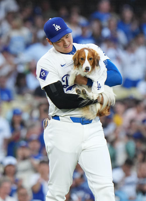 8月28日、ドジャース対オリオールズ戦の始球式に登場する大谷と愛犬デコピン（撮影・菅敏）