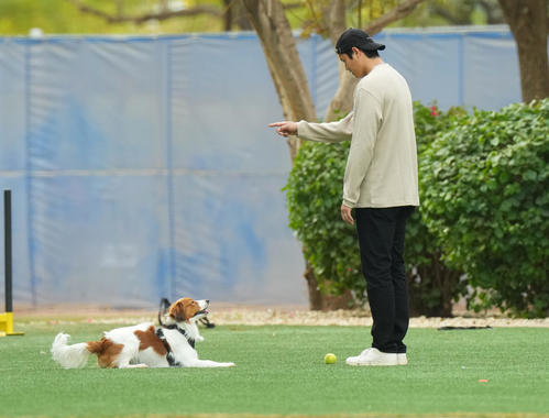 2月9日、キャンプ地でデコピンくんに「伏せ！」と指示するドジャース大谷（撮影・菅敏）