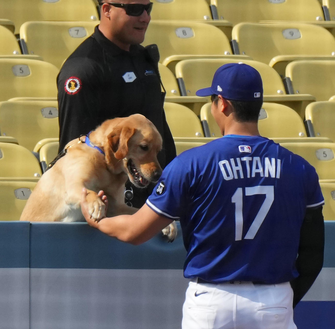 ワンちゃんと握手をするドジャース大谷（撮影・菅敏）