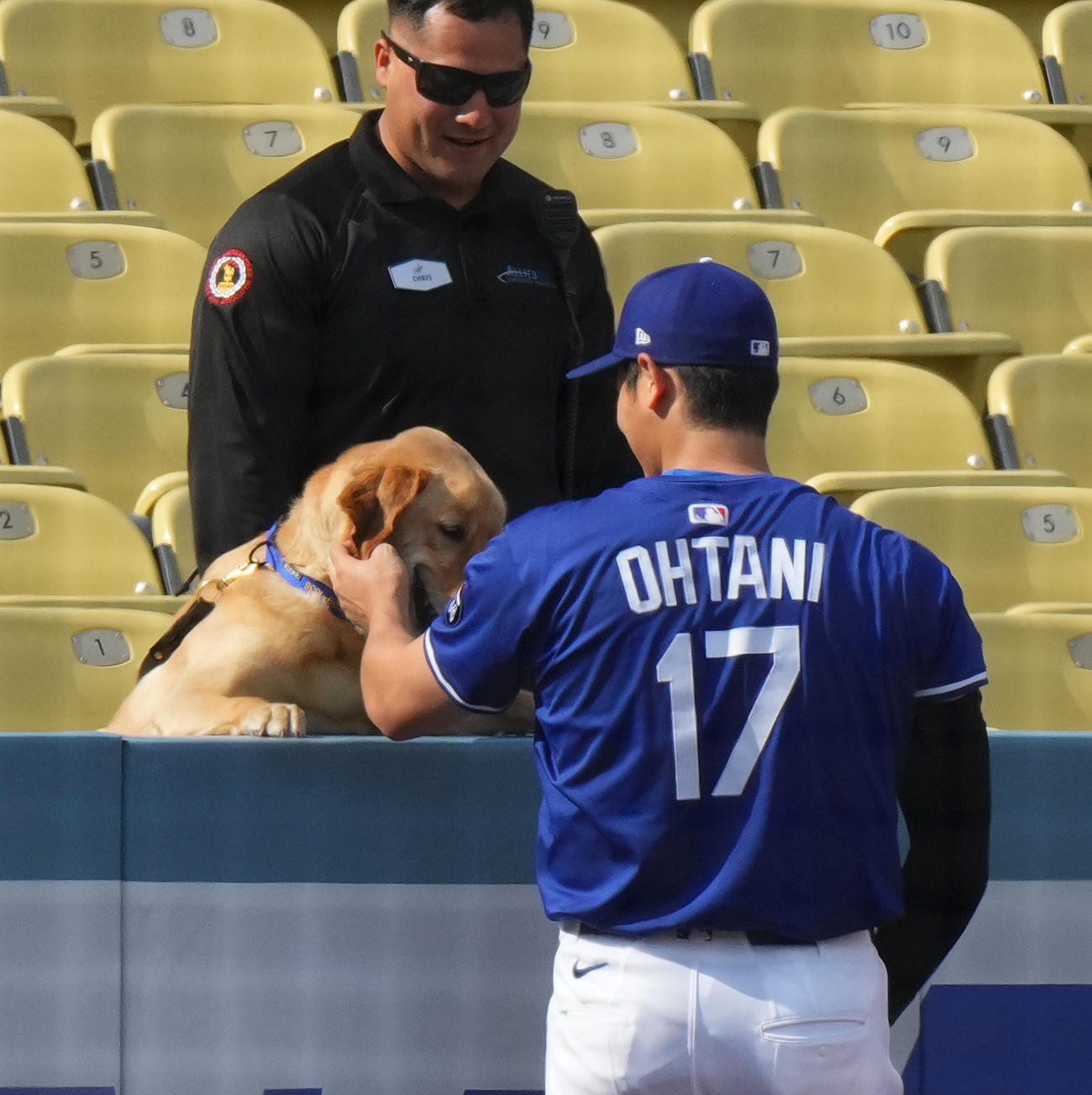 ワンちゃんのほほをなでなでするドジャース大谷（撮影・菅敏）
