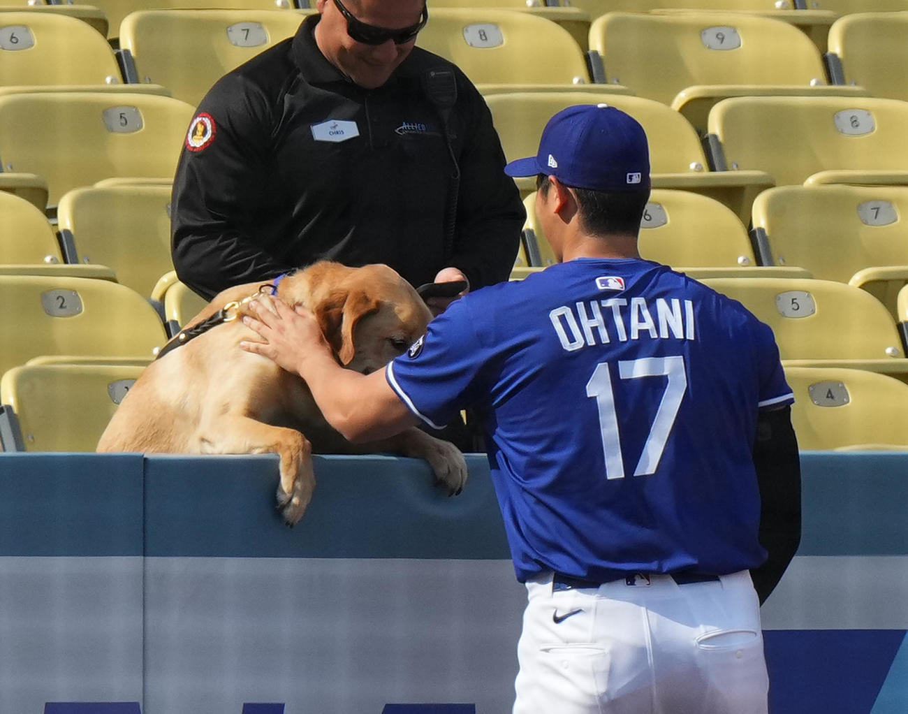 ワンちゃんのなでなでして、ブルペンに向かうドジャース大谷（撮影・菅敏）