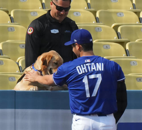 ワンちゃんの首元をなでなでするドジャース大谷（撮影・菅敏）